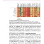 Performance on the HAQ Index and 32 individual causes, by country or territory, in 2016 - image 6 of 6